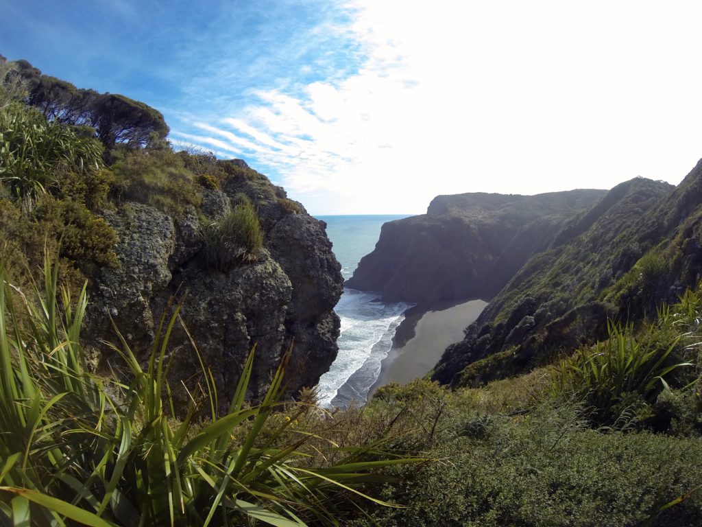 3-of-our-favorite-hiking-trails-auckland-region-a-girl-and-a-kiwi